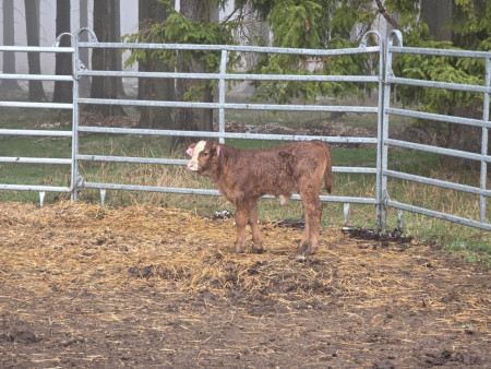 Náramně jsme si to užili!